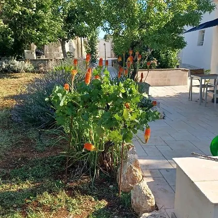 Tuttialtrullo Vila *