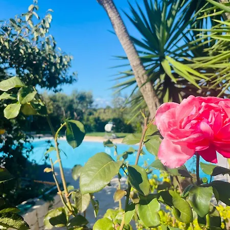 Tuttialtrullo Vila Martina Franca