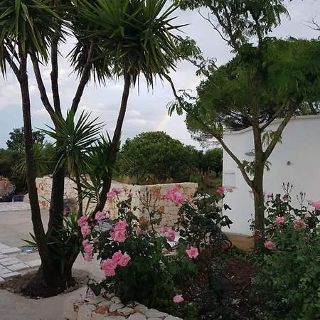 Tuttialtrullo מרטינה פרנקה